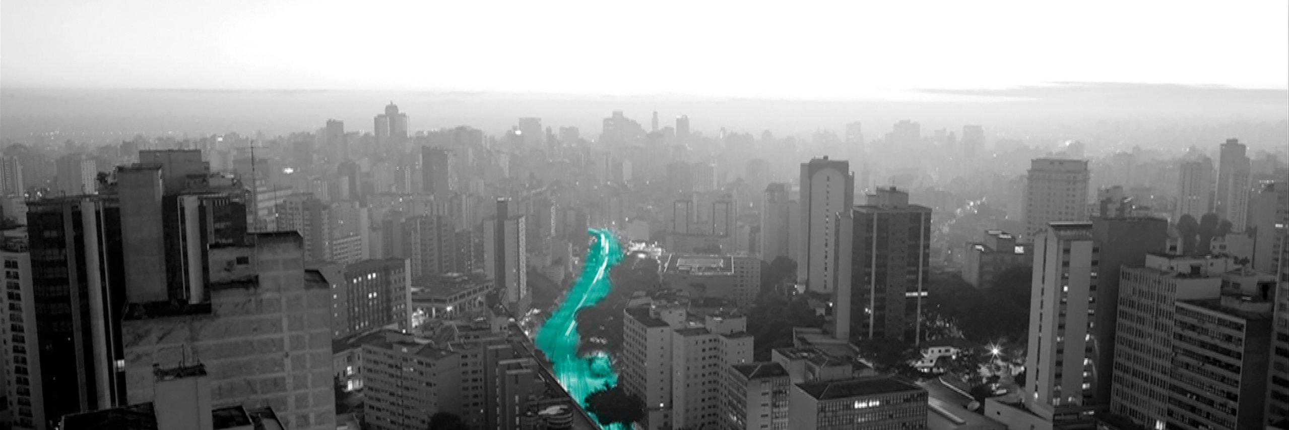 ecosequestrust's profile banner image