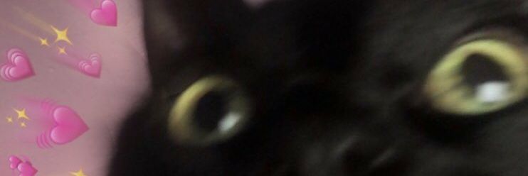tazijade's profile banner image