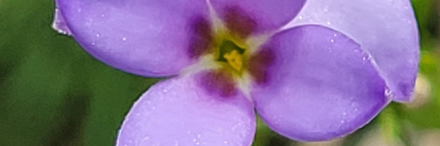 _kendrajaide's profile banner image