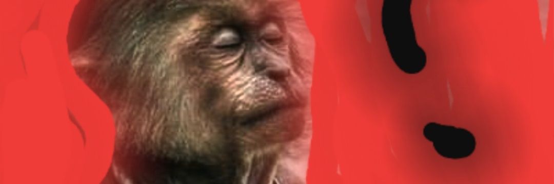 bangocu12's profile banner image