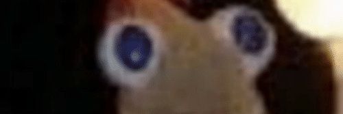 WildTrash666's profile banner image