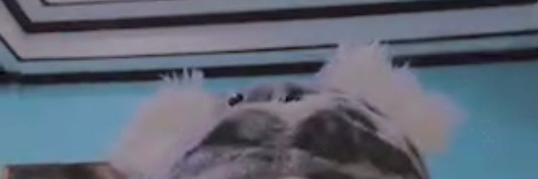 gelyngrcia's profile banner image