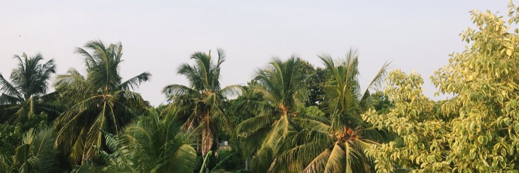 jaitrasathy's profile banner image
