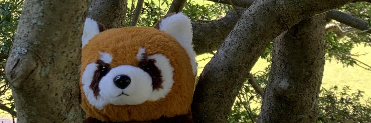 warewaresser's profile banner image