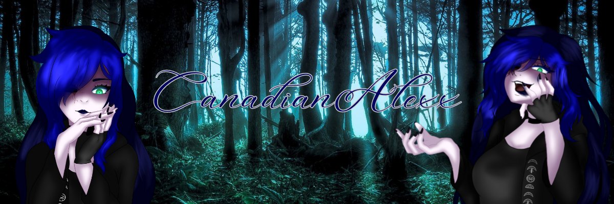 CanadianAlexx's profile banner image
