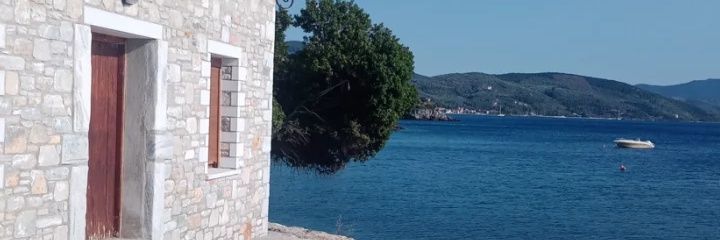 Peki1703's profile banner image