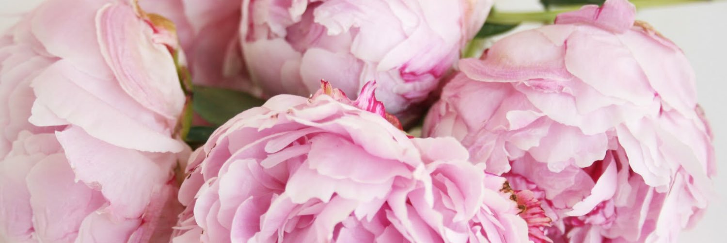 kaitlinfox's profile banner image