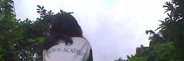 mileslizardo's profile banner image