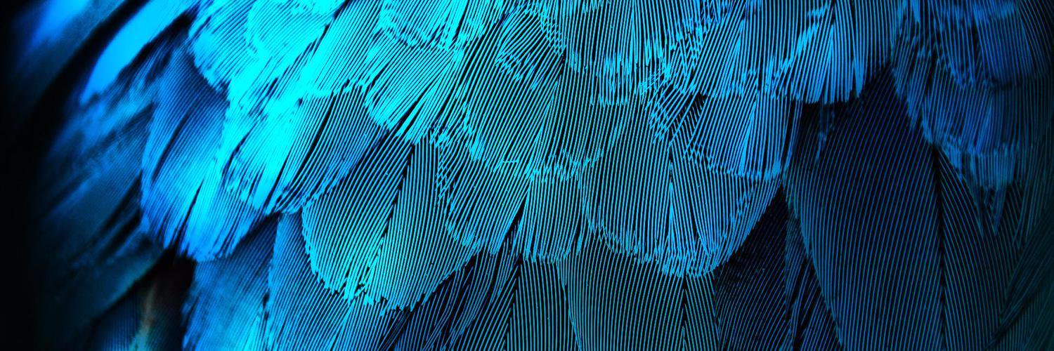 ebaabil's profile banner image