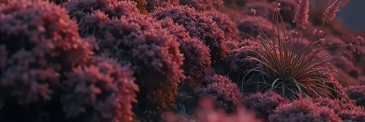 hai_Killua's profile banner image