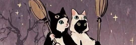 stfn 🌼 banner