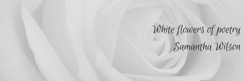Samantha Wilson banner