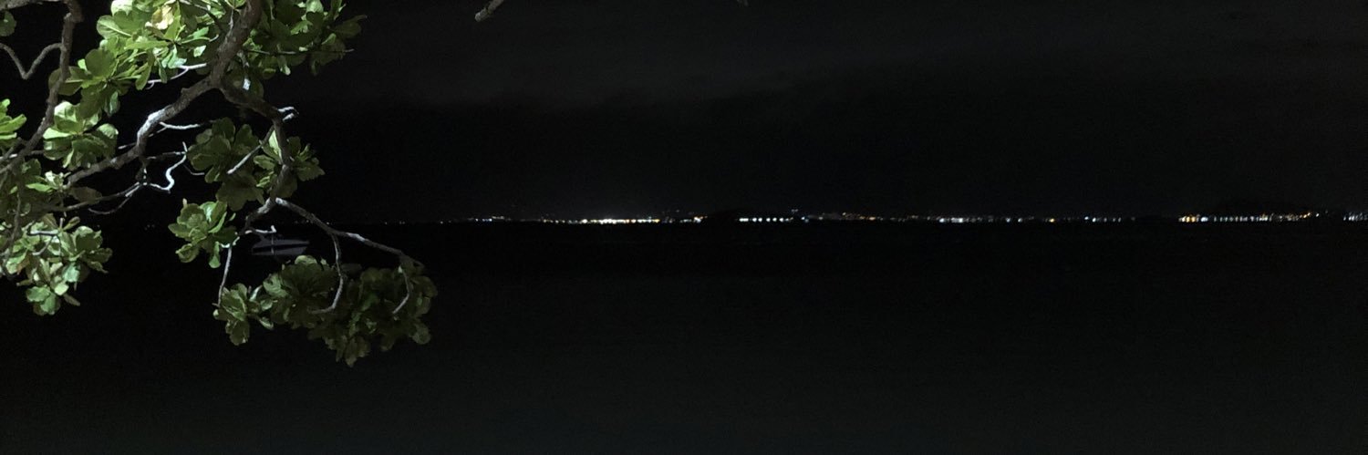 carolbarrossc's profile banner image