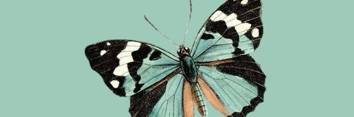 electricello's profile banner image