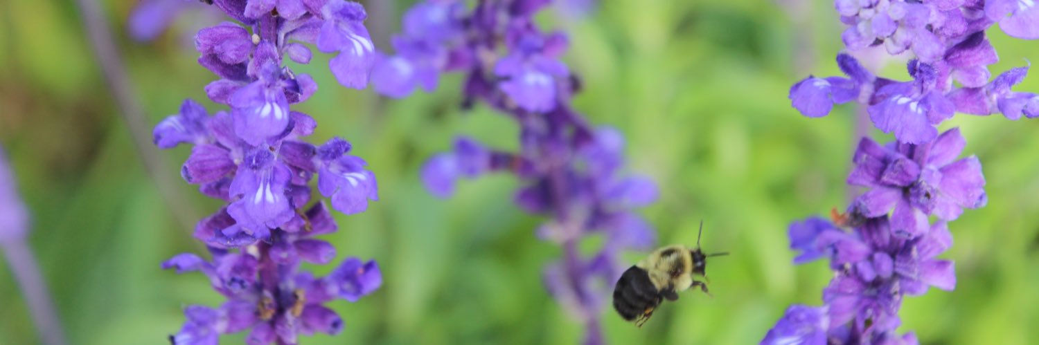 MonmouthResLife's profile banner image
