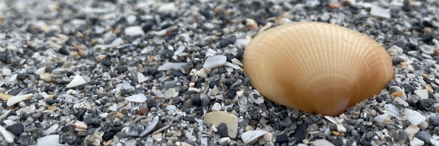 sloppay's profile banner image