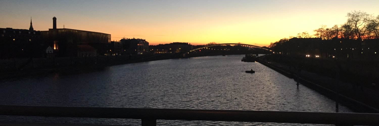 yovel Tzipora banner