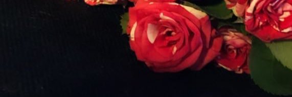 Shoshu_'s profile banner image