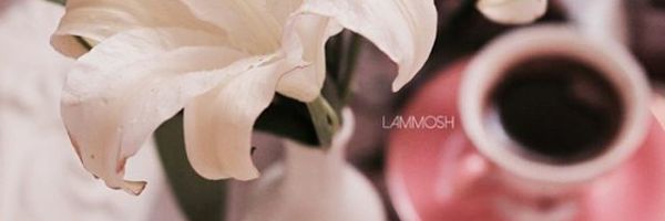 halomh_14's profile banner image