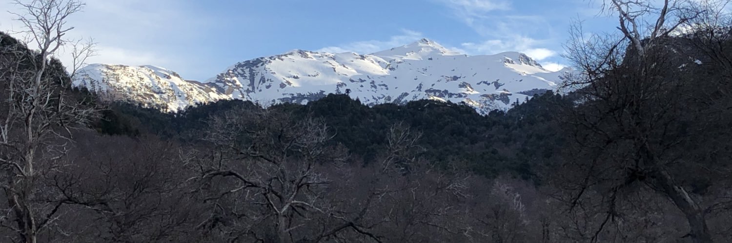 Claudio Hernández banner