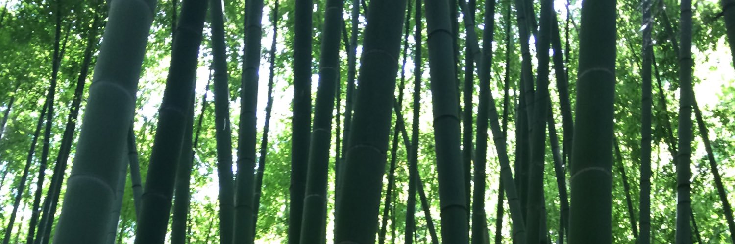 mikechan358's profile banner image