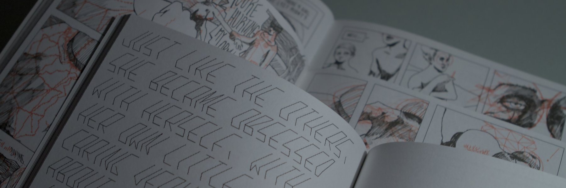 N O R M A L S banner