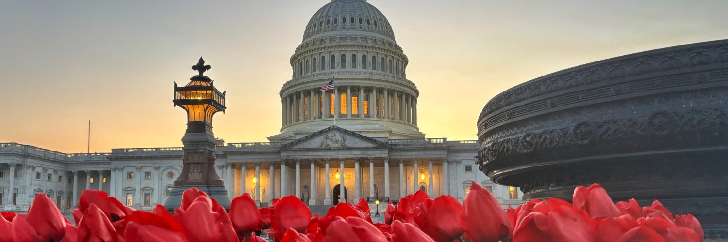 Liberty Counsel Action banner