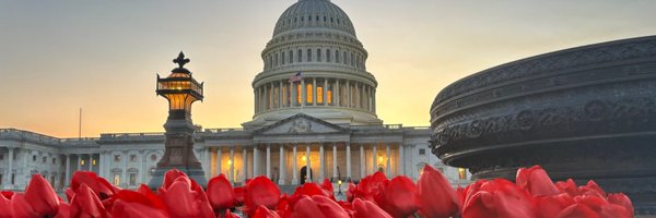 LCActionorg Profile Banner