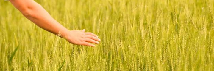 unlarrio's profile banner image