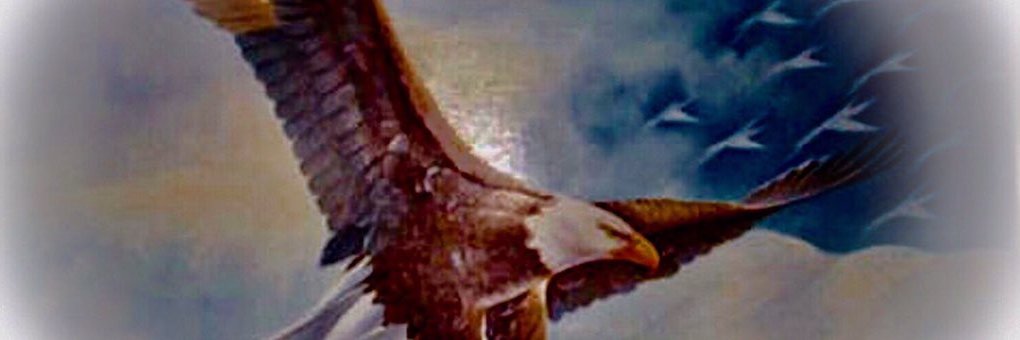 boblauria's profile banner image