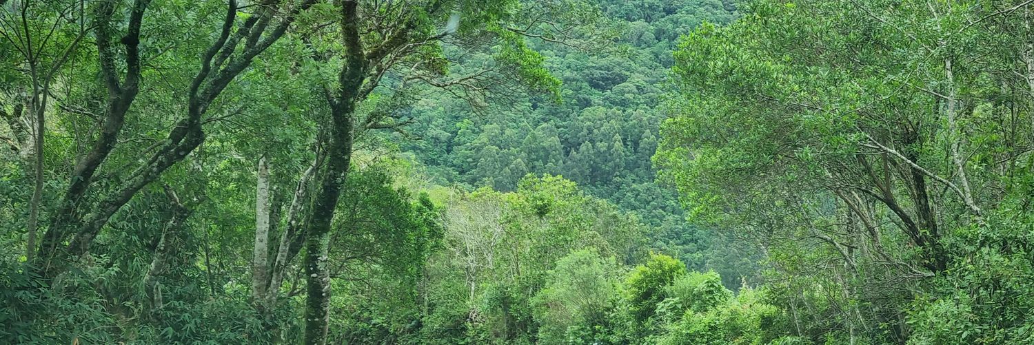 saith03's profile banner image