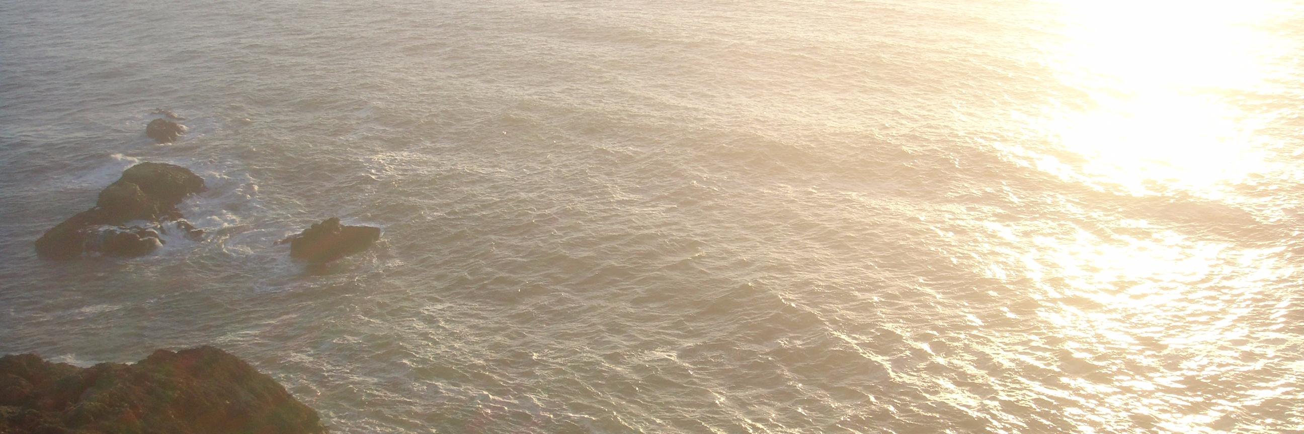 inestweetsgreen's profile banner image