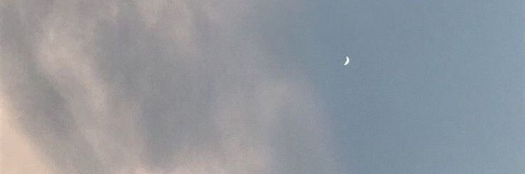 anita 🍉 banner