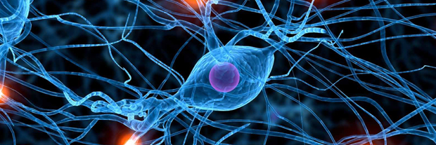 RGSHWPsychology's profile banner image