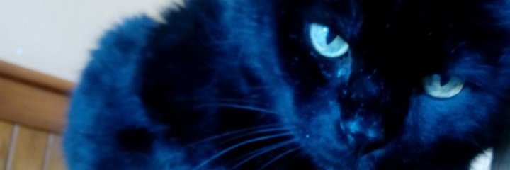 dannahpris's profile banner image
