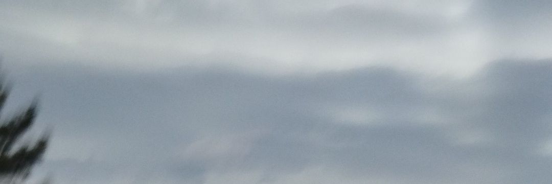 btropick's profile banner image