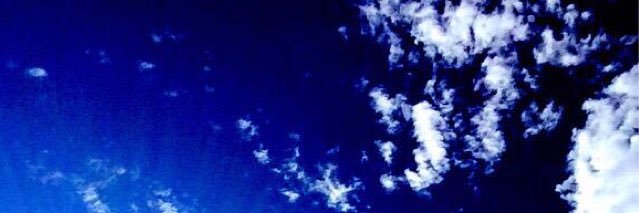 secret_nyaa's profile banner image