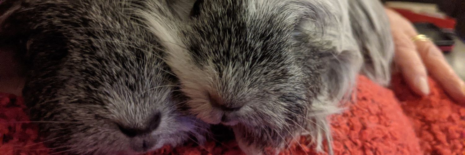 smallphysicist's profile banner image