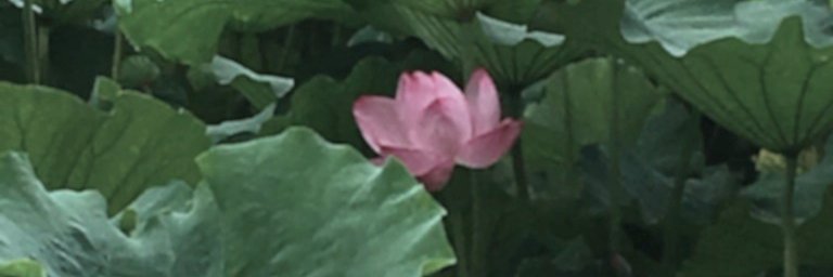 wooln_n's profile banner image
