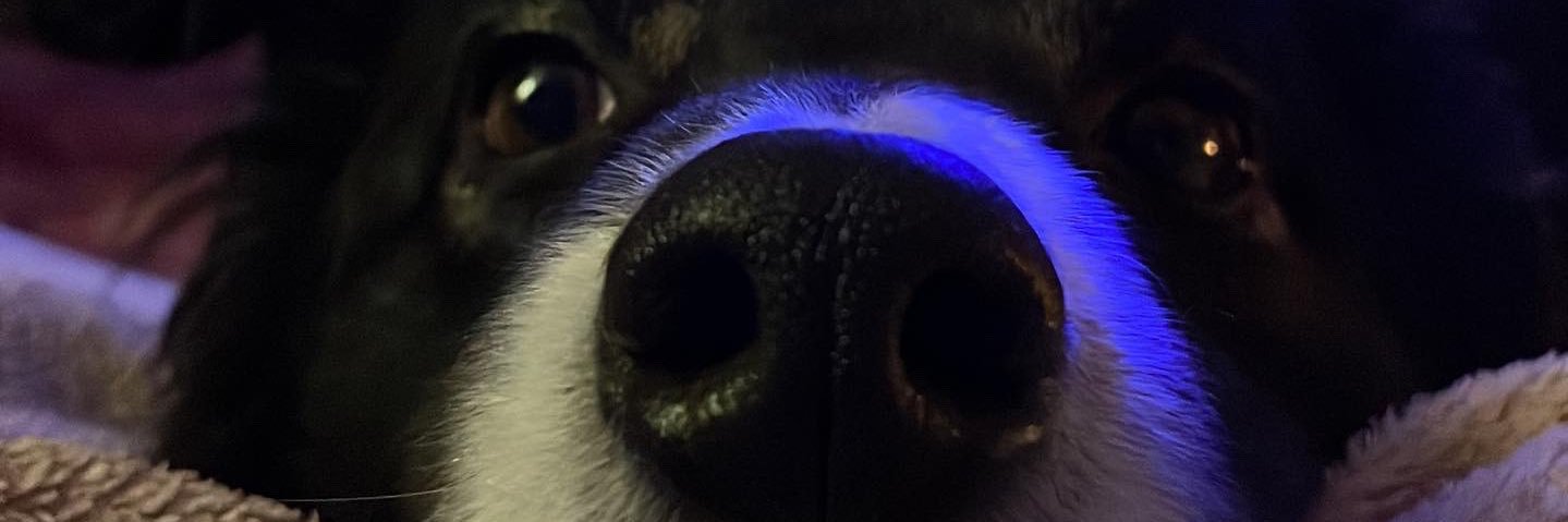 H9YJB's profile banner image