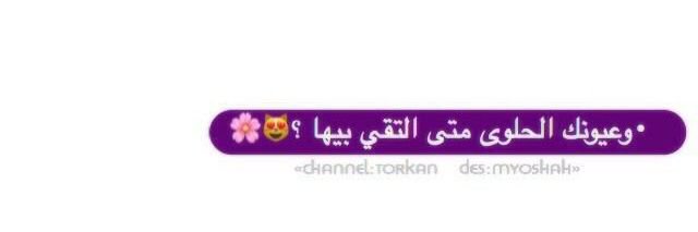 bnt_rashed14's profile banner image