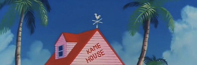 🛸 banner