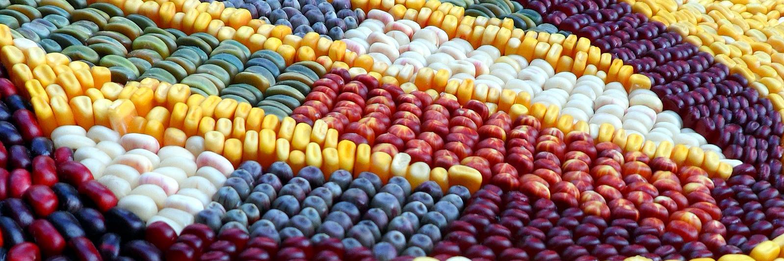 Miguel Branco banner