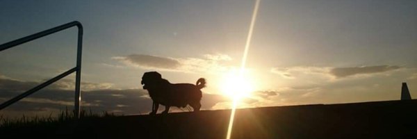 WanWan1Wanko Profile Banner