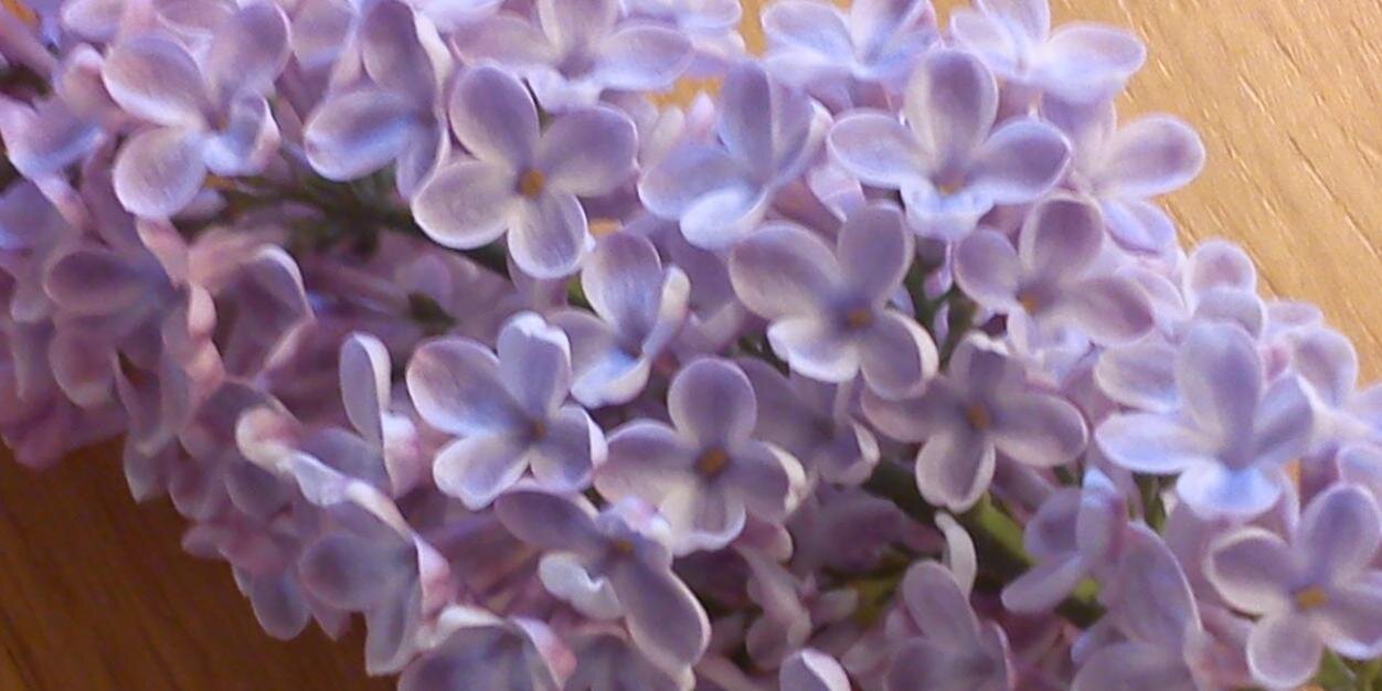 Michelline96's profile banner image