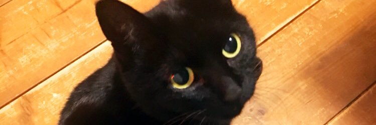 tsukaT28's profile banner image