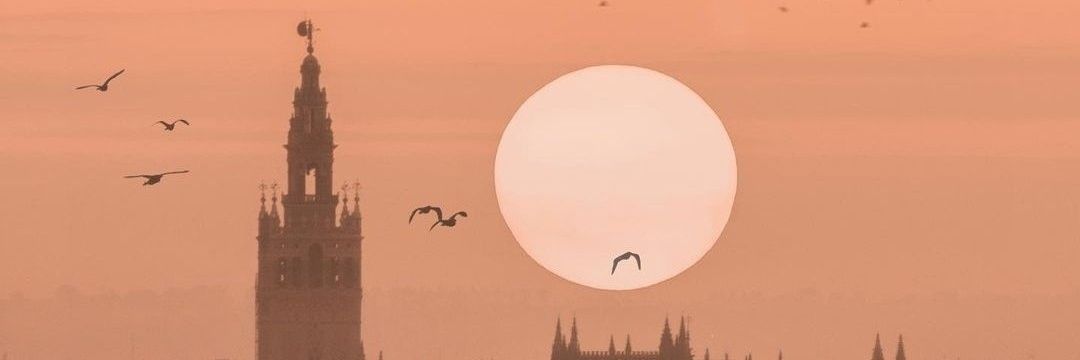 davipin's profile banner image