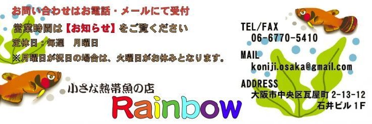 大阪 小虹(小さな熱帯魚の店 Rainbow) banner