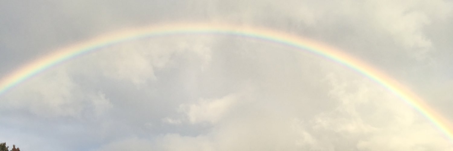 MeganMiddendorf's profile banner image