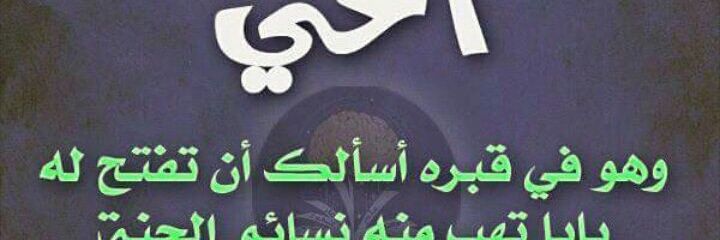 زينب علي🇮🇶 banner